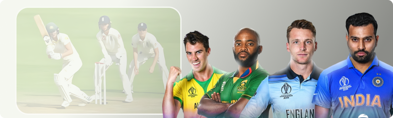 About the company — what players need to know about the betting site